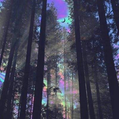 beat365手机版官方网站app下载