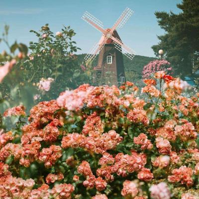 爱游戏APP·官方登录入口(ayx)app下载